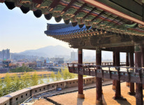 “지금이 노랗다”…밀양 금시당·영남루 늦가을 여행