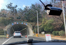 월요일 출근시간대 잡목 제거? 부산 번영로 의도된 정체