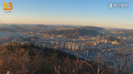 [늇쓰리] 출입 통제 70여 년… 해운대 장산 정상이 열린다
