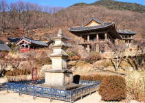 닮은 듯 다른 산사 옆 서원… 경북 영주 겨울 여행