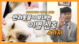 [영상] 반려동물이 이별 전 보내는 신호 4가지