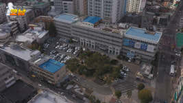 [맹탐정 코남] #15. 해운대구청엔 왜 거북이 70마리가 있을까?