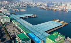 부산공동어시장 새 대표 21일 선출… 2파전으로 가나 (종합)