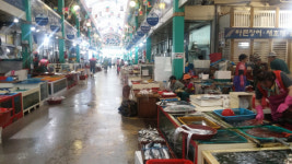 앱으로 주문하면 1시간 내 배송… 통영 시장, ‘장피랑’으로 뜬다