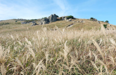 울주 삼동면에 ‘울산 알프스 관광단지’ 추진