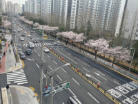 부산 북구 주민의 숙원사업, 화명대림타운 방향 좌회전 차로 신설 공사 완료