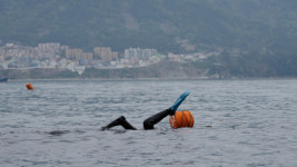 [부산숨비] 다마스 타고 바다로 출근… ‘부산 송도’ 해녀들 #3