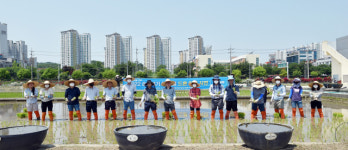 경남도농기원 옛 권농일 기념 손모내기 체험 행사 가져