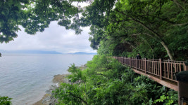 날씨도 몸도 찌뿌듯한 날, 시원한 바다 보며 걷기!