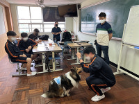 부산경상대 반려동물산업과, 동물 교감 프로그램 주목