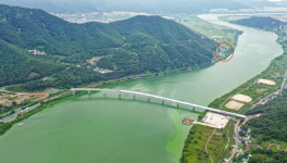 [단독] 부산 식수원 물금·매리, 역대 최악 녹조 ‘범벅’