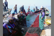 어촌계 비리 의혹 제기하자 계원 자격 박탈