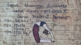 [최진태의 요가로 세상 보기] 79. 영원히 불타는 생명 에너지, 태양 경배 자세(수리야 나마스카라)