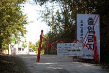 천안·청주 오리농장서 고병원성 AI…확진 사례 잇따라