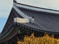 진주성 촉석루 지붕 양성바름에 균열…보수공사 진행