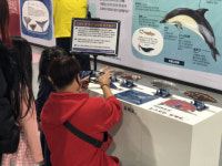 과학·수학이랑 놀아 볼까…체험관의 이유 있는 변신