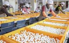 [포토뉴스] 1만명과 함께 나눌 동지팥죽 새알심