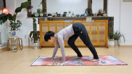 [최진태의 요가로 세상 보기] 91. 네 발로 걷는 원초적 종합 운동법 ‘코끼리 걸음’
