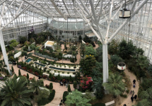 따뜻하다 못해 후끈한 겨울 속 여름…서울·세종 실내수목원 탐방