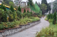 부산 초등학교 4곳에 ‘자녀안심 그린숲’ 조성