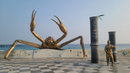 한겨울 온천 여행 떠난 울진, 온천만 하고 오면 후회할걸