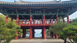 한겨울 온천 여행 떠난 울진, 온천만 하고 오면 후회할걸
