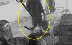 치마 차림으로 가게 침입해 현금·커피믹스 슬쩍… 잡고 보니 40대 남성