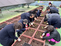 부산 중구 대청동 주민자치회 프로그램, ‘사랑나눔 대청 옥상 텃밭’개장