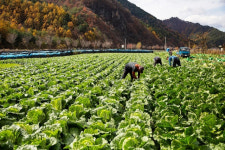 농업·농촌 경쟁력 높일 아이디어는?…농촌진흥청, 국민제안 공모전