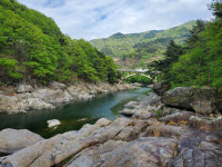 몸 상태 좋아지는 화엄사…‘물멍’하기 좋은 용유담