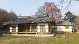 고(故) 조용기 목사 ‘울산 생가’ 보존 놓고 갈등