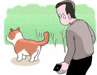 [공감] 떠돌이 개를 만나다, 그저