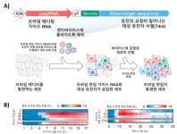 세계최고 수준의 ‘차세대 유전자 가위’ 설계기술 개발