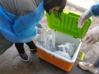수산물 방사능 검사, 도매 단계까지 확장…부산시, 유사도매시장도 검사