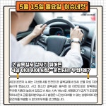 지리산서 수십 년 묵은 산삼 15뿌리 무더기 발견…가격은 얼마? [이슈네컷]