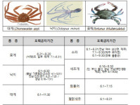 대게·낙지·꽃게, 6월부터 잡지 마세요