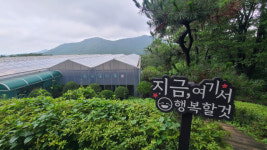 [욜로 갈맷길]⑧ 청량한 산길에서 치유를 선물받다