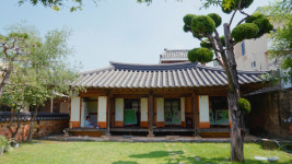 문학소녀가 독립 운동을 하게 된 이유는? [부산피디아 ep.9 박차정]