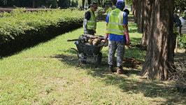 “잉어 200여 마리 사체 둥둥” 진주 초전공원 물고기 집단폐사