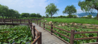 [욜로 갈맷길]⑨ 낙동강 둔치 자연생태공원 벗 삼아 ‘뚜벅뚜벅’