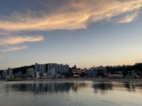 [맛과 인연] 갯마을에 스며든 돼지국밥 깊은 맛