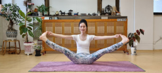 [최진태의 요가로 세상 보기] 104. 불가(佛 家)의 수미산을 연상케 하는 ‘척추 지지 자세’