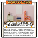 어린이집보다 벌금이 싸다는 무신사… 실수요 적어 위탁보육으로 변경 해명 [이슈네컷]
