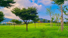 잠깐 쉬었다 갑시다…‘멍때리기 성지’ 양산시 황산공원