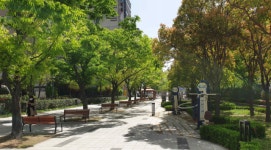 연제구 월드컵대로 바람길숲, 산림청 ‘모범 도시숲’ 인증