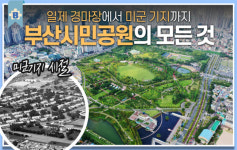 경마장·미군기지… 질곡의 100년 넘은 부산시민공원의 모든 것 [부산피디아 EP.13]