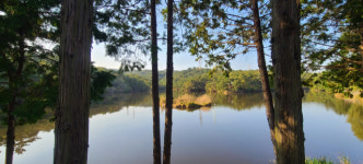 찬란한 가을 두 발로 느껴 볼까… 부울경 ‘명품 숲길’ 나들이