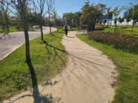 맨발로 지구를 꾹꾹~ 나도 ‘어싱’ 한번 해볼까…부산 맨발 걷기 명소는?