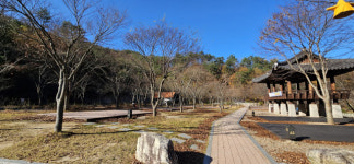 별 볼 일 없는 세상, 이런 ‘별천지’가 있다!