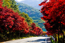 ‘단풍 핫플’ 산청 지리산 밤머리재, 지리산 관광 거점 될까?